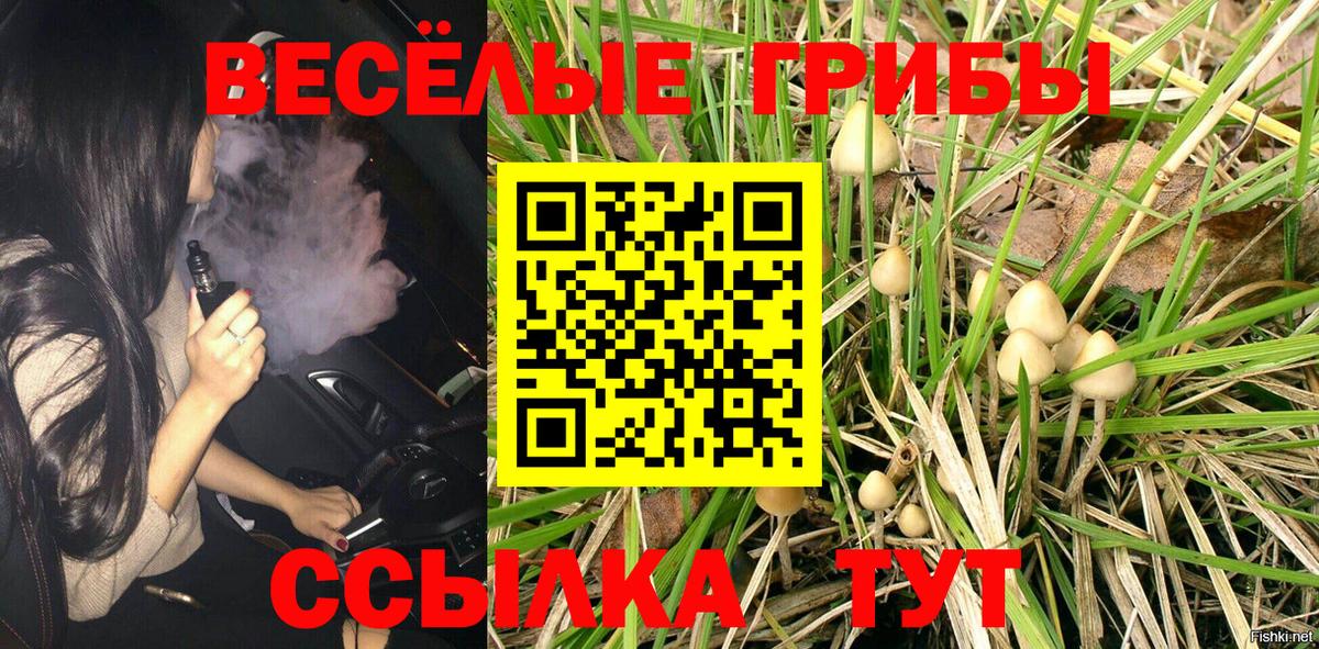 Псилоцибиновые грибы Magic Shrooms  Вход с VPN  Асбест  Псилоцибиновые грибы Magic Shrooms 