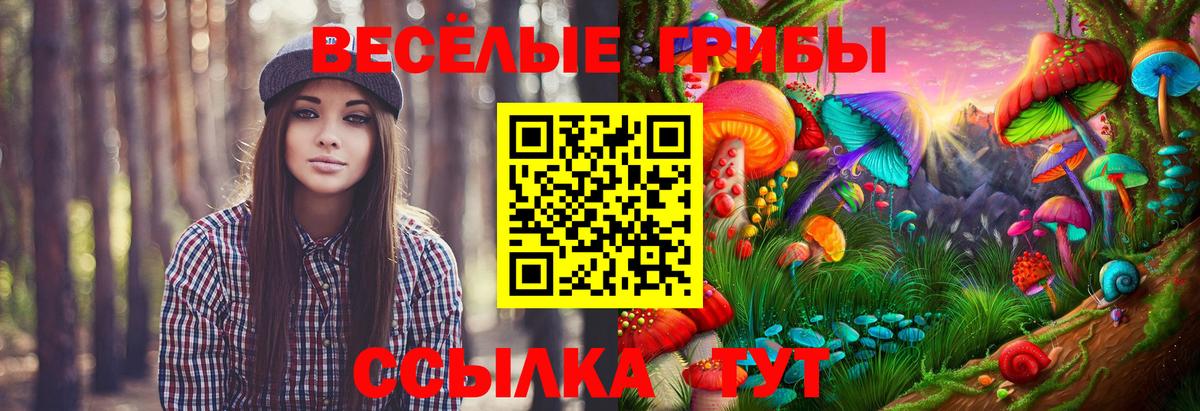 Галлюциногенные грибы мухоморы Асбест